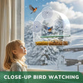 SUNALLY Window Bird Feeder Outdoors.